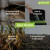 BIOFUTURE Biodegradable Party Cups, Eco-Friendly Disposable Paper Cups for Parties