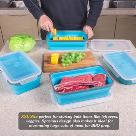 Extra Large Collapsible Food Storage Containers with Lid & Air Vent, 81 oz, 4 Pack, XXL Collapsible Marinade Container BBQ Prep Foldable Silicone Containers, Microwave Freezer Dishwasher Safe, Blue