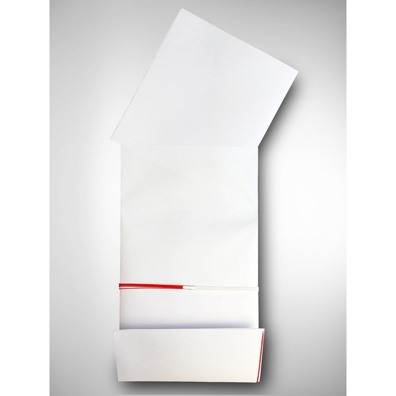 Akagi Celebration Bag, Catalog, Red and White, 5 Pieces, Flower