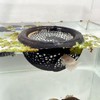 Aquarium Floating Betta Fish Skins, Betta or Shrimp Feeder, Cave