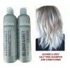 ACTIVEE BLONDE & GREY SHAMPOO + CONDITIONER HYDRATION & DEEP