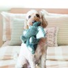 KONG Comfort Kiddos Elephant Dog Toy, Small