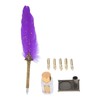 Quill Pen Set Retro Elegant Exquisite Pattern Smoothing Writing Feather