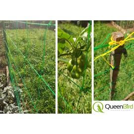 QueenBird Trellis Netting - Heavy Duty Garden Trellis Netting for Climbing Plants - 5.9 Feet X 16.4 Feet - Garden Netting for Vegetables, Clematis, Cucumber, Tomatoes and Vine Plants - Plant Trellis