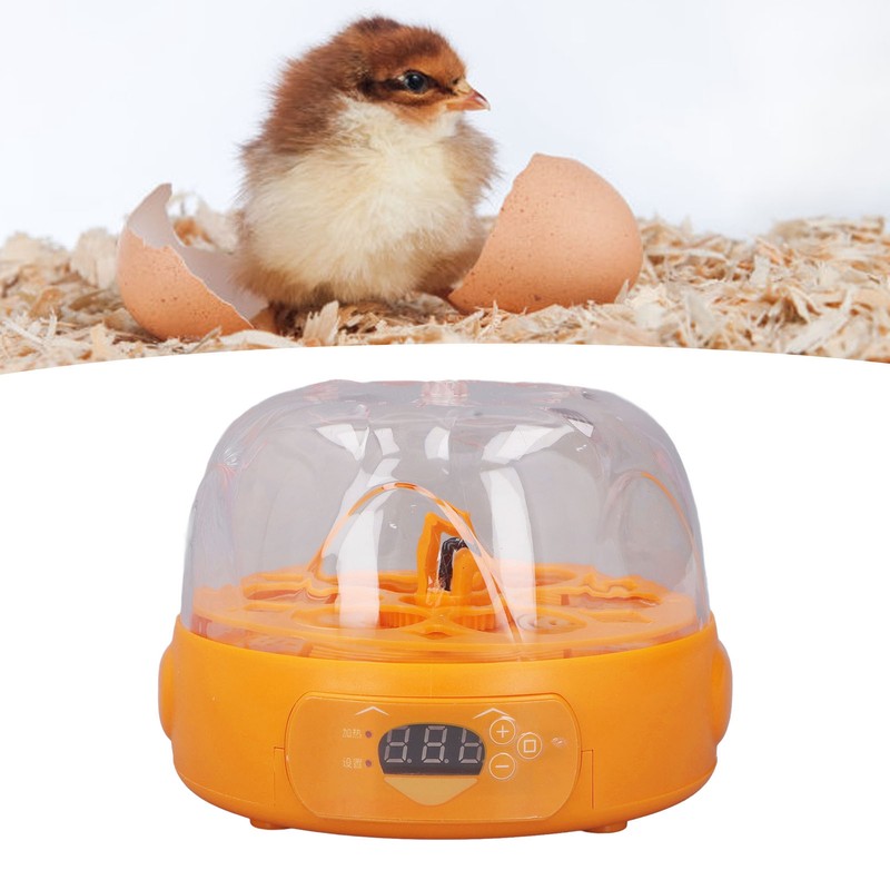 15W Egg Incubator 6 Eggs Digital Mini Fully Automatic Egg