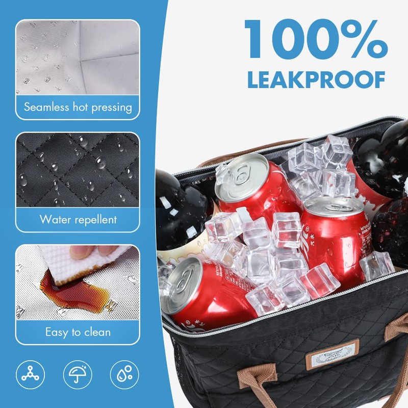 Lekespring Lunch Bag for Women and Men Leakproof Lunchbox Insulated