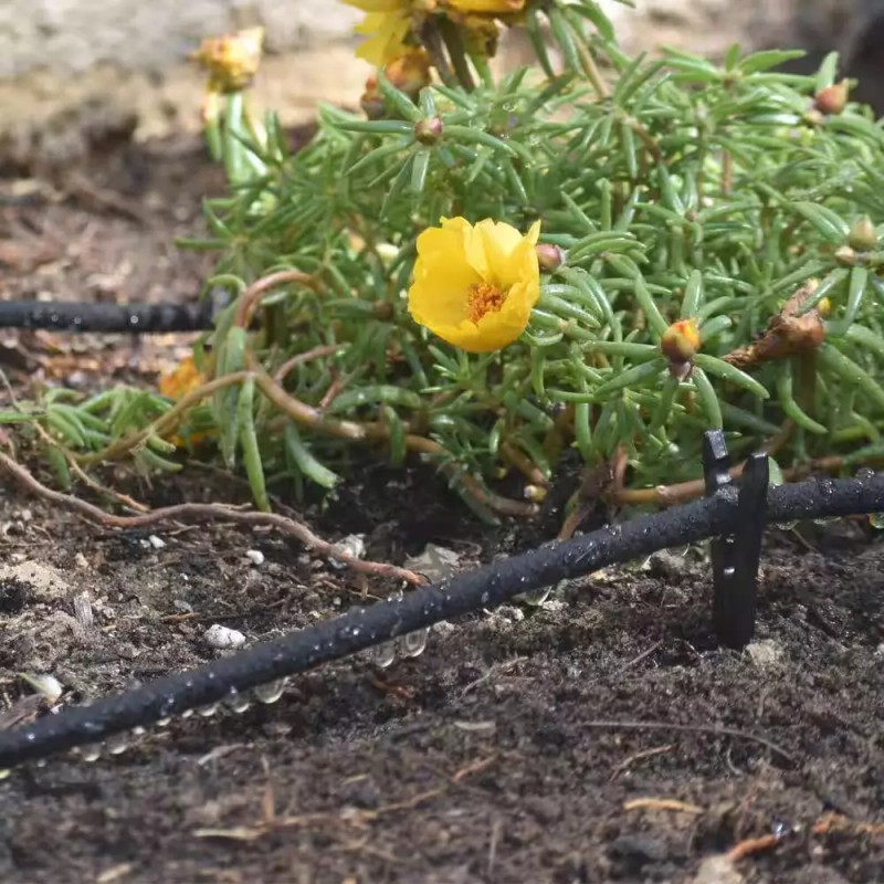 DIG 1/4 in. x 50 ft. Porous Drip Soaker Hose