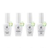Cherimoya Juego Deshidratador de Primer para Uñas 4 Piezas 15ml