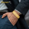 MagnetRX MagnetRX? 3X Strength Titanium Magnetic Bracelet C Magnetic Bracelets