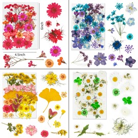 Dried Pressed Flowers, 170+ Pcs Mixed Dried Flowers for Resin, Bulk Natural Dry Floral Resin Fillers Decoration Accessories for DIY Crafts, Scrapbooking (Flower-1)