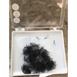 LASH BY HOLLY 6D PREMADE (HAND MADE) FAN LASHES (500 FANS/TRAY) FOR EYELASH EXTENSION, C CURL, D CURL AND M CURL, 0.07 THICKNESS, LENGTH FROM 9MM-15MM (C13mm6D)