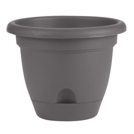 Bloem LP10908 Lucca Self Watering Planter w/Saucer 10", Charcoal Gray
