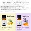 ASH Aroma Blend Oil for Day and Night, 0.3 fl