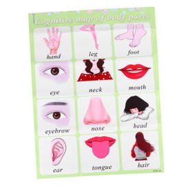 COHEALI Interactive English Learning Toy Preschool Alphabet Wall Chart Educational Children's Wall Poster