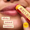 Burt's Bees Lip Balm Pomegranate + Watermelon + Strawberry Lemonade