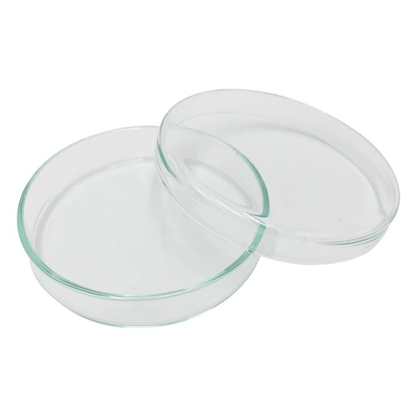 As One Standard Petri Dish φ3.1 x 0.6 inches (80 x 15 mm) /2-9169-04