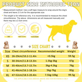 2Pcs Harness Set for Dogs, Mesh Pet Vest Set with leash for Walking Training Daily