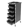 Salon Trolley Cart, Plastic Salon Rolling Cart for Stylist Beauty
