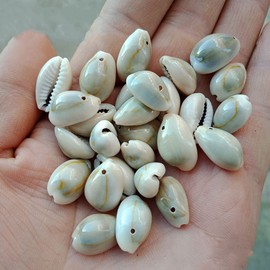 Fundiyoug 100 PCS 0.63"-0.71" Natural Cowrie Sea Shell Beads Cowrie Shells Charms, Beach Seashells with Hole for for Earring Bracelet Jewelry Making Wedding Party Wall Home Decor(16-18mm, Small Hole)