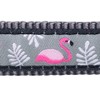 Red Dingo Bucklebone Dog Collar Design, Flamingo Grey, Large 25mm