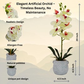 CLOVERIZ Artificial Orchid Flowers – Realistic Faux Orchids in Stone-Like Pots for Home & Office Decor, 8 Blooms (Lemon)