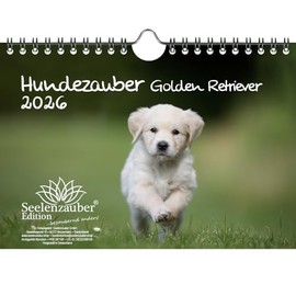 Hundezauber Golden Retriever DIN A5 Kalender für 2026 Welpen und Hunde - Geschenkset Inhalt: 1x Kalender, 1x Weihnachtsanhänger (insgesamt 2 Teile)