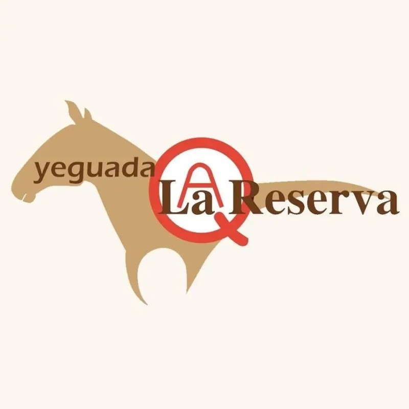 Mayoreo 1 Caja Shampoo Combinada La Reserva Grts