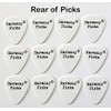 12 Guitar Plectrums featuring Famous Guitars - Harmony Picks