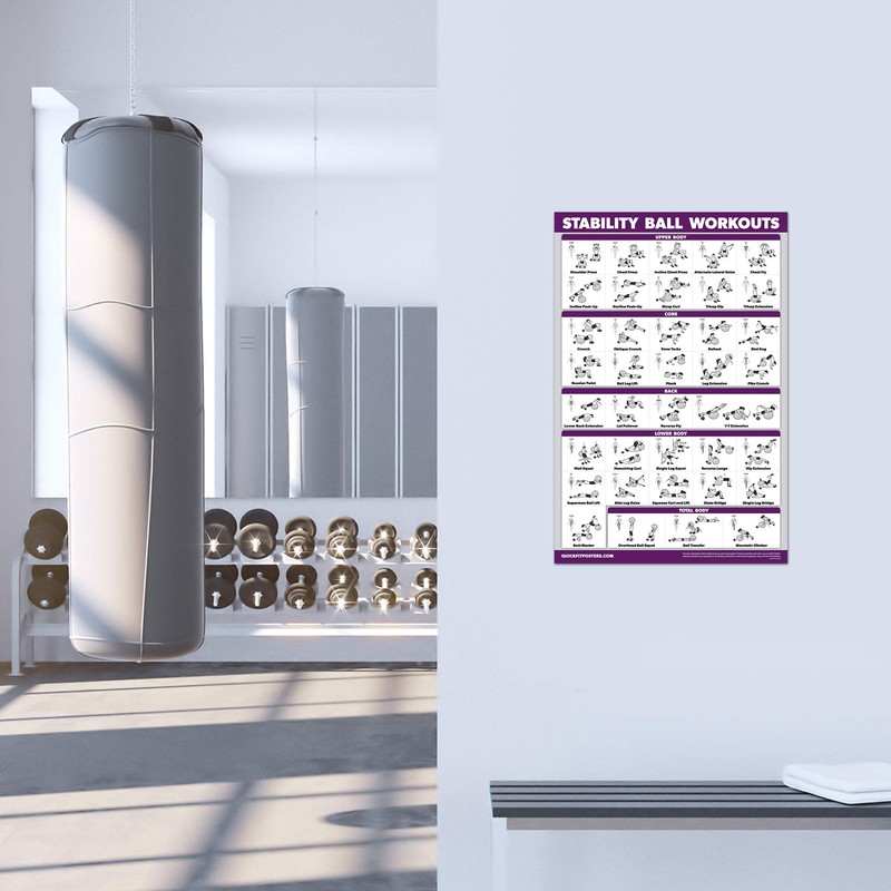 Palace Learning 2 Pack, Half Balance Ball Workout Poster +