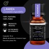 BIENAT AROMATERAPIA Aceite Esencial de Nueva Lavanda 10mL