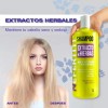 Shampoo y Aondicionador Nefertiti Cabello Seco O Dañado Extracto De