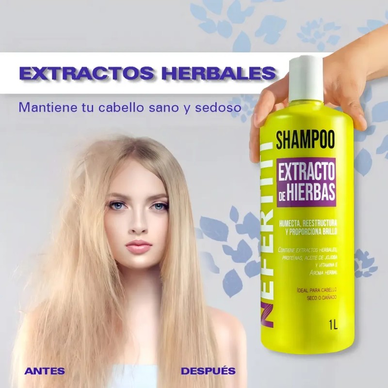 Shampoo y Aondicionador Nefertiti Cabello Seco O Dañado Extracto De