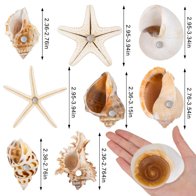 Natural Seashell Fridge Magnets 8PCS, Starfish Shell Refrigerator Magnets