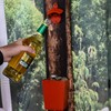 Jumiok Red Bottle Opener Wall Mounted and Cap Catcher Funny