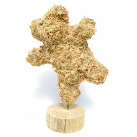 20" Dancing Bear Sphagnum Moss Topiary Form