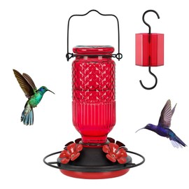 FEED GARDEN FEED GARDEN Glass Hummingbird Feeder for Outdoors Hanging, 16 OZ Humming Birds Feeders with 4 Bee Guard Feeding Ports & Built-in Ant Moat, Bird Feeder for Outside, Gifts for Women Mom, Red