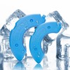 iPettie Replacement Ice Packs for Donut Frost Automatic Pet Feeder