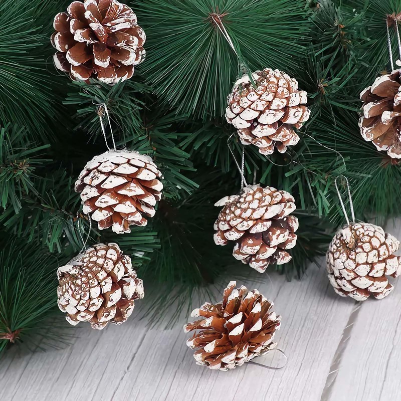 Qlisytpps 25 PCS Christmas Pine Cones Natural larch cones white