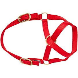 Perri's Mini Nylon Cow Halter, Red, Size 0