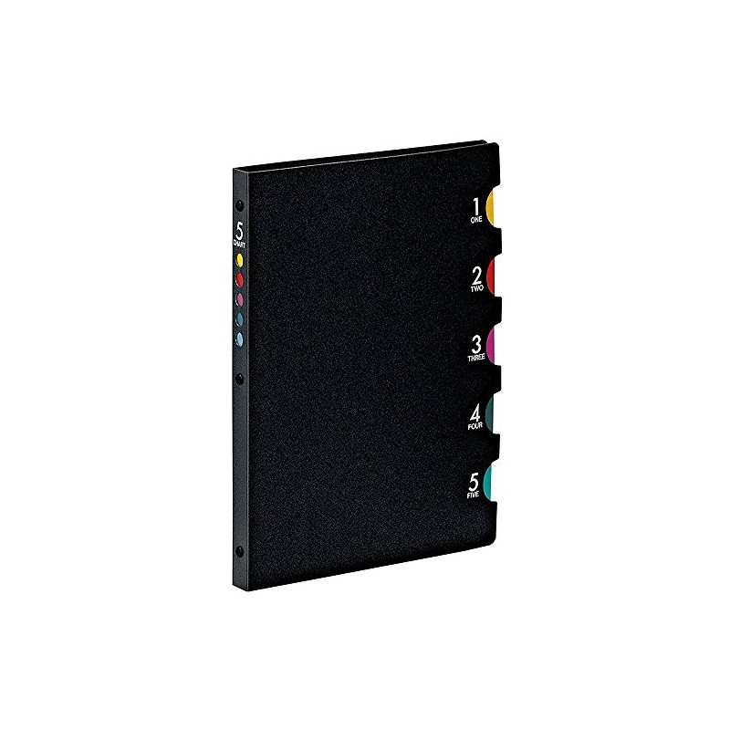 FIVE CHART Light B5 Ring Binder, F905