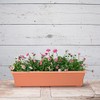 Novelty 16305 Countryside Planter, 30-Inch, Terracotta