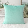 Artscope Velvet Cushion Cover Decorative Cushion Sofa Cushion Lumbar Cushion