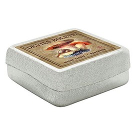 MyTinyWorld Dolls House Miniature Apothecary Devils Bolete Fungi Colour Box