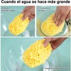 Esponjas de Baño Naturales QICHEN – Suavidad sin látex para