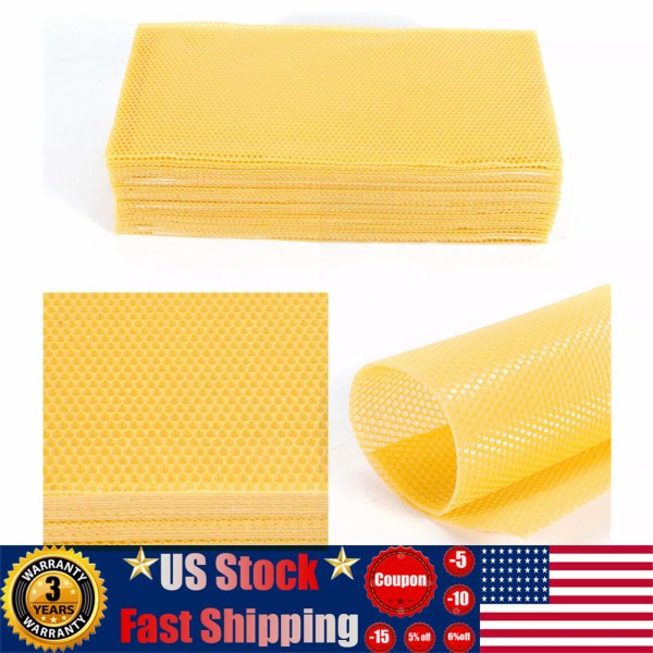 Unbranded/Generic Bee Hive Foundation Honey Hive Equipment Deep House Nest