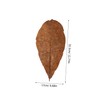 ABOOFAN 20pcs Dried Leaf Sushi Plating Mats Japanese Sashimi Decor
