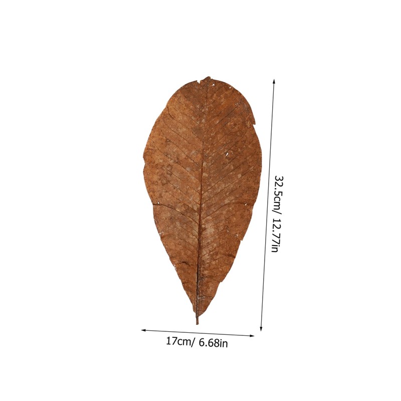 ABOOFAN 20pcs Dried Leaf Sushi Plating Mats Japanese Sashimi Decor