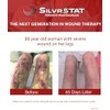 SilvrSTAT Antibacterial Wound Dressing Gel 3 OZ
