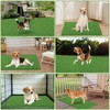 STARROAD-TIM 30 x 20 inches 2 Pack Fake Grass Pee