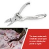 Cunyuer Piglet Teeth Cutter, 14cm Stainless Steel Pig Tooth Nipper